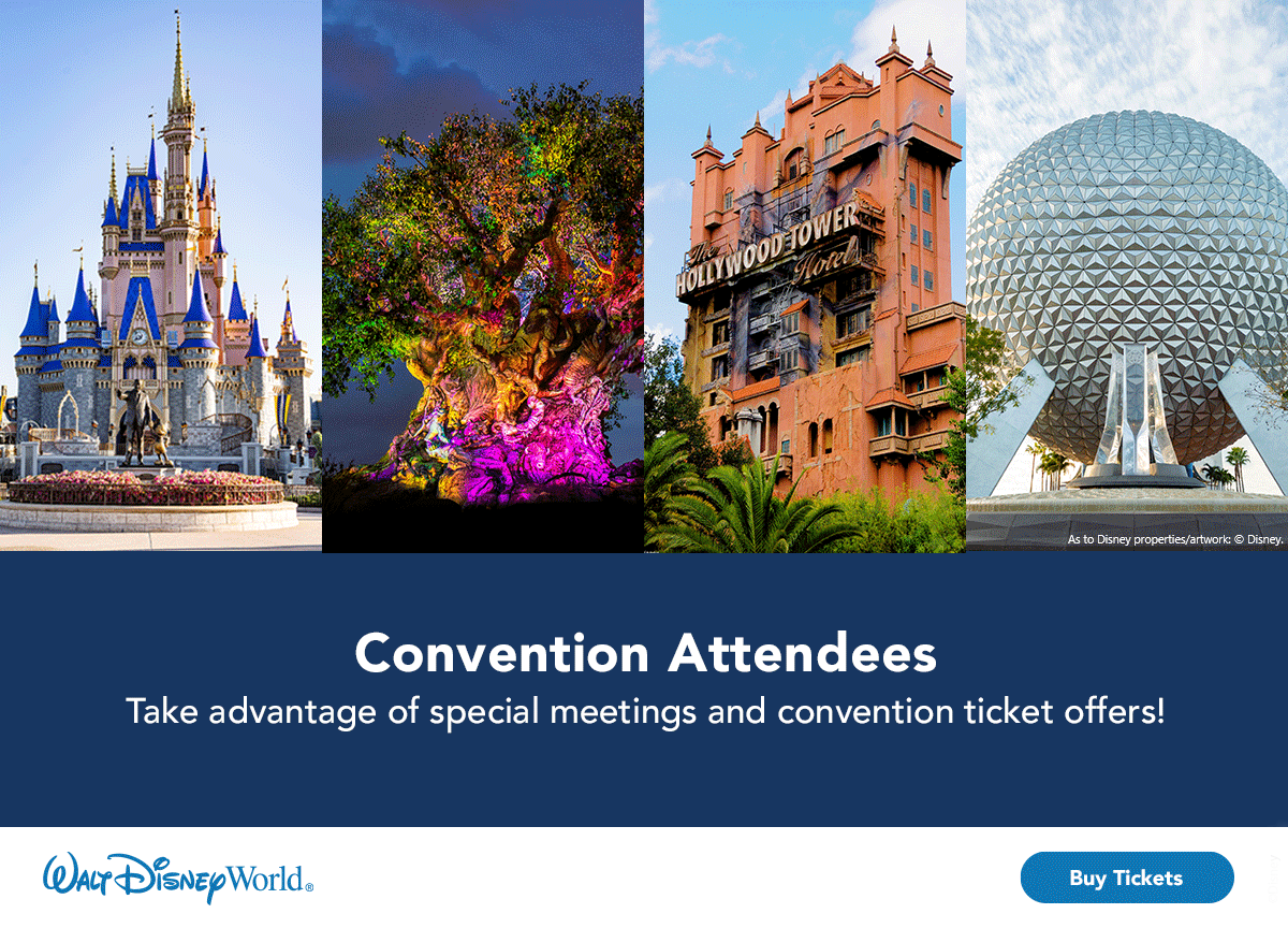 Walt Disney World COnvention Tickets Image